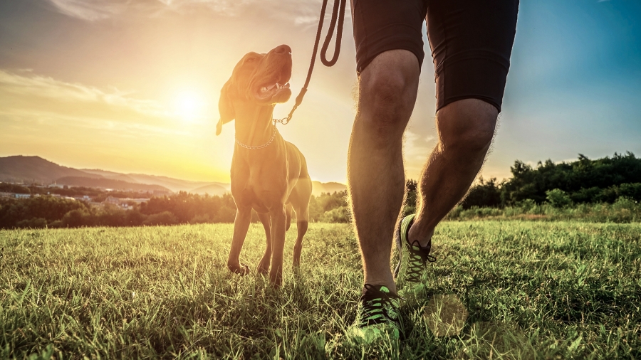 3 Bedroom Property for Sale in Nooitgedacht Village Western Cape